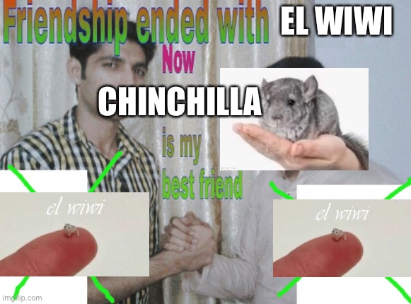 Friendship ended with X, now Y is my best friend | EL WIWI CHINCHILLA | image tagged in friendship ended with x now y is my best friend | made w/ Imgflip meme maker