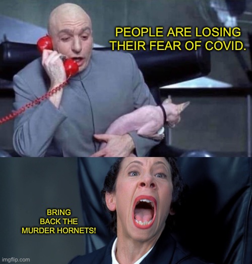 We need a different shiny object to distract everyone. | PEOPLE ARE LOSING THEIR FEAR OF COVID. BRING BACK THE MURDER HORNETS! | image tagged in dr evil and frau | made w/ Imgflip meme maker