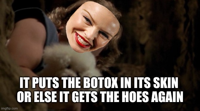 Silence of the lambs lotion | IT PUTS THE BOTOX IN ITS SKIN 
OR ELSE IT GETS THE HOES AGAIN | image tagged in silence of the lambs lotion,kylieminoguesucks | made w/ Imgflip meme maker