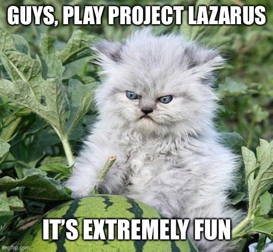 It’s only on computer tho | GUYS, PLAY PROJECT LAZARUS; IT’S EXTREMELY FUN | image tagged in meine wassermelone | made w/ Imgflip meme maker