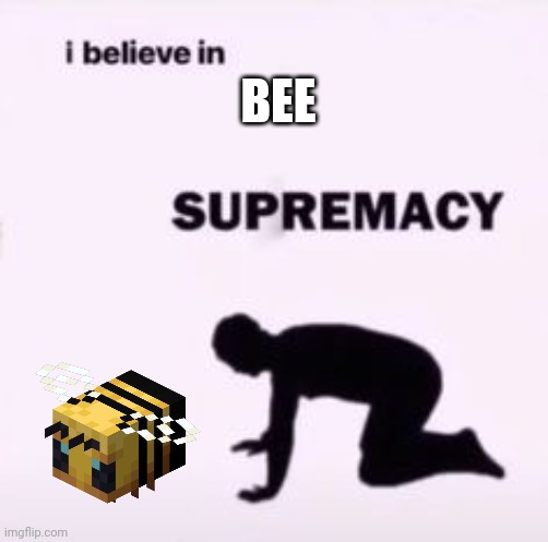 I believe in supremacy | BEE | image tagged in i believe in supremacy | made w/ Imgflip meme maker