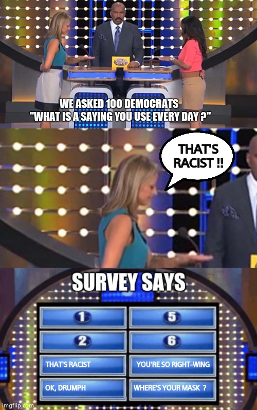 We asked 100 Democrats... | WE ASKED 100 DEMOCRATS 
"WHAT IS A SAYING YOU USE EVERY DAY ?"; THAT'S RACIST !! THAT'S RACIST                              YOU'RE SO RIGHT-WING; OK, DRUMPH                               WHERE'S YOUR MASK  ? | image tagged in memes,funny memes,democrats,that's racist,leftists,fun | made w/ Imgflip meme maker