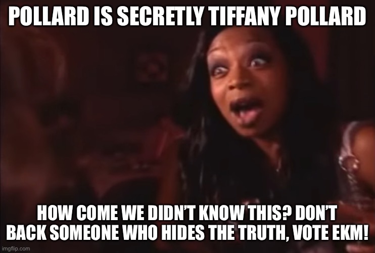Tiffany Pollard | POLLARD IS SECRETLY TIFFANY POLLARD; HOW COME WE DIDN’T KNOW THIS? DON’T BACK SOMEONE WHO HIDES THE TRUTH, VOTE EKM! | image tagged in tiffany pollard | made w/ Imgflip meme maker