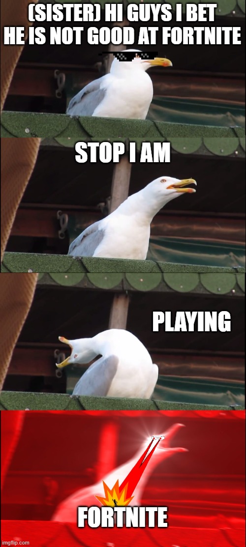 Inhaling Seagull | (SISTER) HI GUYS I BET HE IS NOT GOOD AT FORTNITE; STOP I AM; PLAYING; FORTNITE | image tagged in memes,inhaling seagull | made w/ Imgflip meme maker