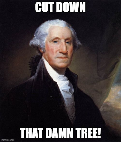 George Washington Meme | CUT DOWN THAT DAMN TREE! | image tagged in memes,george washington | made w/ Imgflip meme maker