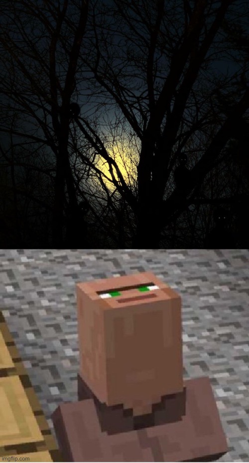 Oh no | image tagged in minecraft villager looking up | made w/ Imgflip meme maker