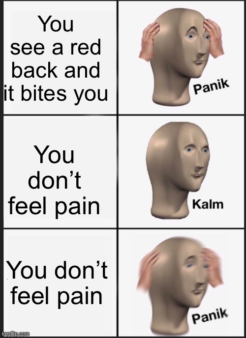 Panik Kalm Panik |  You see a red back and it bites you; You don’t feel pain; You don’t feel pain | image tagged in memes,panik kalm panik | made w/ Imgflip meme maker