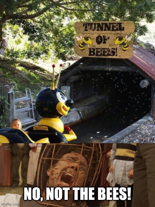 NO, NOT THE BEES! | image tagged in not the bees | made w/ Imgflip meme maker