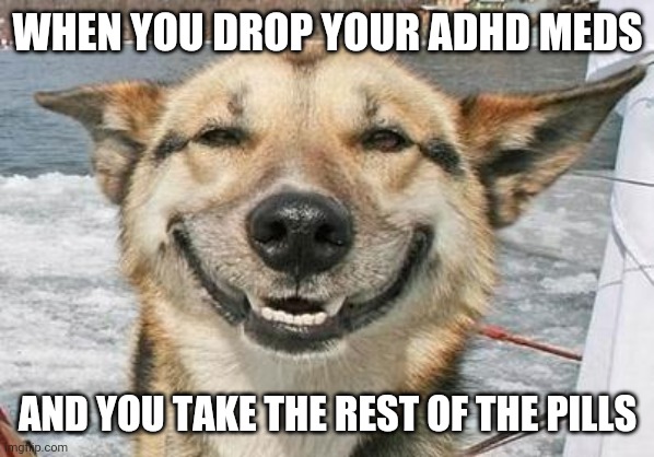 Mwehehehe | WHEN YOU DROP YOUR ADHD MEDS; AND YOU TAKE THE REST OF THE PILLS | image tagged in smiling dog | made w/ Imgflip meme maker