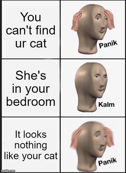 Panik Kalm Panik | You can't find ur cat; She's in your bedroom; It looks nothing like your cat | image tagged in memes,panik kalm panik | made w/ Imgflip meme maker