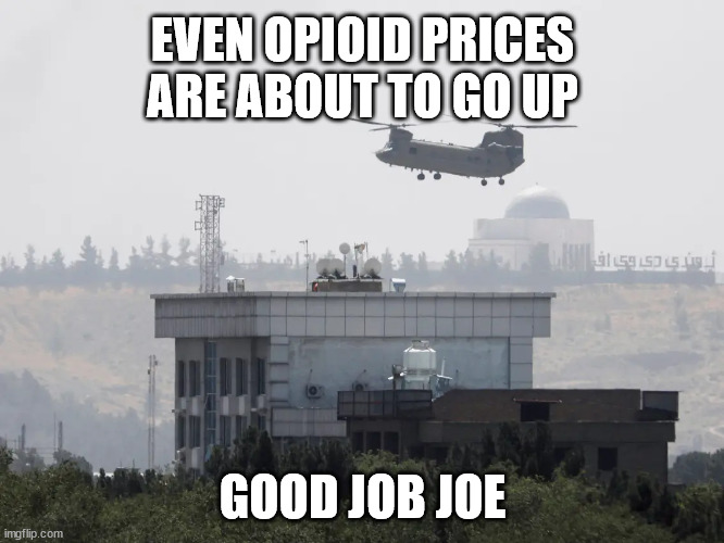 opioid | EVEN OPIOID PRICES ARE ABOUT TO GO UP; GOOD JOB JOE | image tagged in politics lol | made w/ Imgflip meme maker