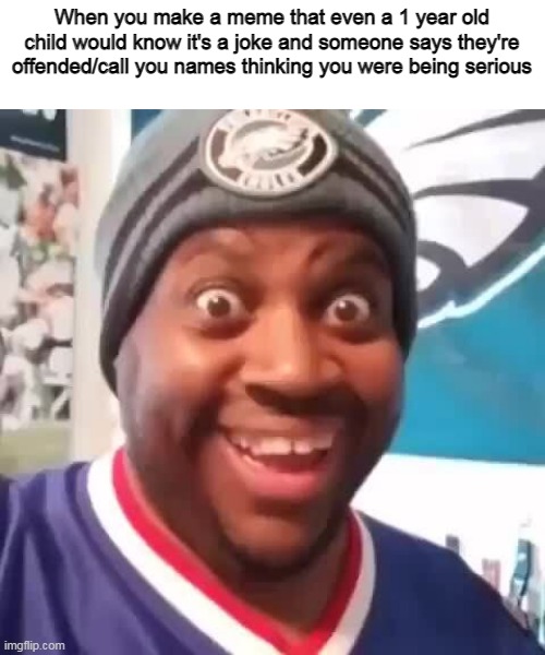 What more do you want from me, Imgflip? | When you make a meme that even a 1 year old child would know it's a joke and someone says they're offended/call you names thinking you were being serious | image tagged in imgflip | made w/ Imgflip meme maker