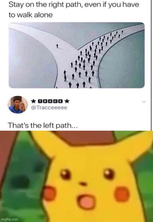 image tagged in memes,surprised pikachu,funny,funny memes,can't argue with that / technically not wrong,cursed | made w/ Imgflip meme maker