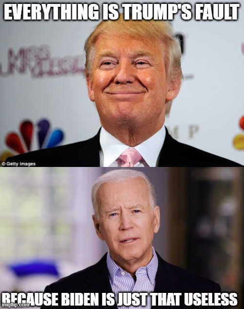 EVERYTHING IS TRUMP'S FAULT; BECAUSE BIDEN IS JUST THAT USELESS | image tagged in donald trump approves,joe biden 2020 | made w/ Imgflip meme maker