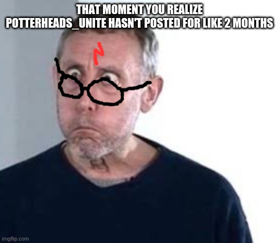 NOT noice | THAT MOMENT YOU REALIZE POTTERHEADS_UNITE HASN'T POSTED FOR LIKE 2 MONTHS | image tagged in micheal rosen | made w/ Imgflip meme maker