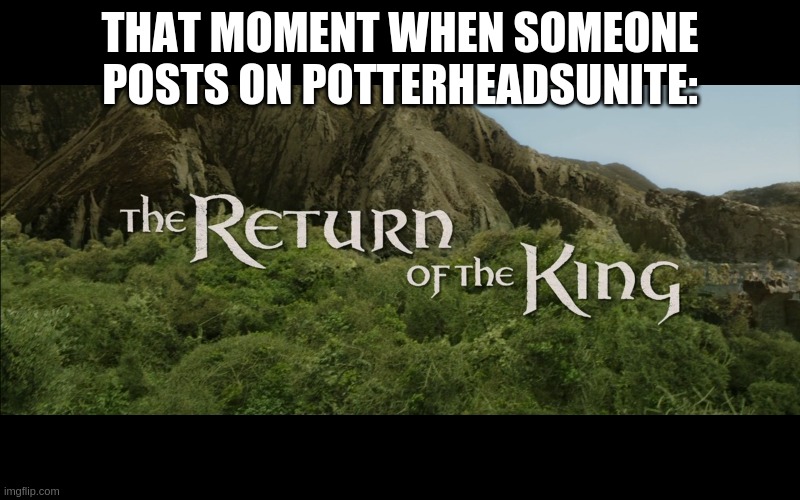 Yes, I KNOW the meme's from a LOTR movie, but I happen to both like that AND Harry Potter. Dunt hayte. | THAT MOMENT WHEN SOMEONE POSTS ON POTTERHEADSUNITE: | image tagged in return of the king | made w/ Imgflip meme maker