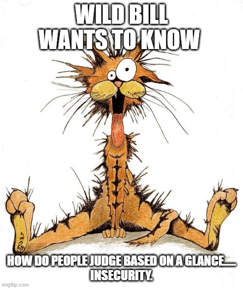 Wild Bill | WILD BILL WANTS TO KNOW; HOW DO PEOPLE JUDGE BASED ON A GLANCE.....
INSECURITY. | image tagged in dank memes | made w/ Imgflip meme maker