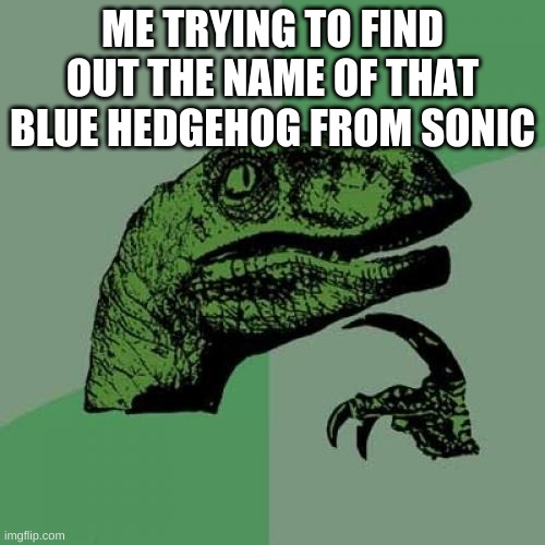 Philosoraptor | ME TRYING TO FIND OUT THE NAME OF THAT BLUE HEDGEHOG FROM SONIC | image tagged in memes,philosoraptor | made w/ Imgflip meme maker