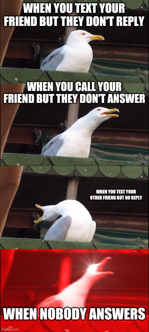 When nobody replies | WHEN YOU TEXT YOUR FRIEND BUT THEY DON'T REPLY; WHEN YOU CALL YOUR FRIEND BUT THEY DON'T ANSWER; WHEN YOU TEXT YOUR OTHER FRIEND BUT NO REPLY; WHEN NOBODY ANSWERS | image tagged in memes,inhaling seagull | made w/ Imgflip meme maker