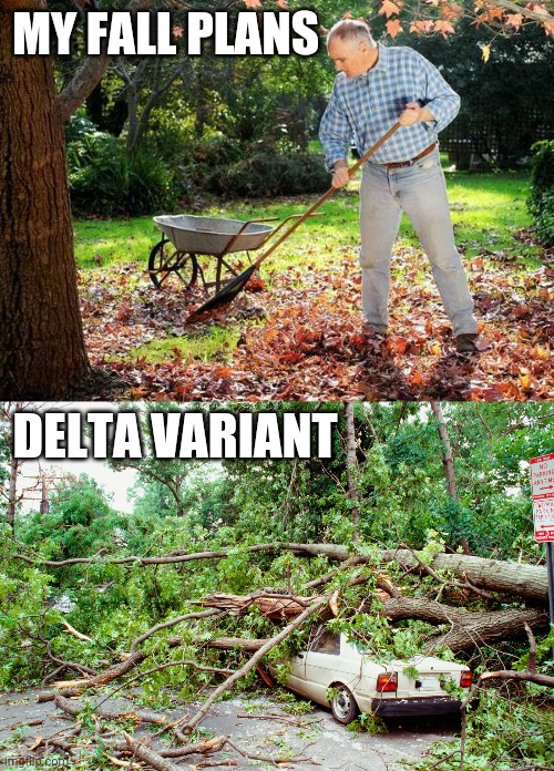 Fall plans vs delta variant | MY FALL PLANS; DELTA VARIANT | image tagged in fall,plans,delta,covid | made w/ Imgflip meme maker