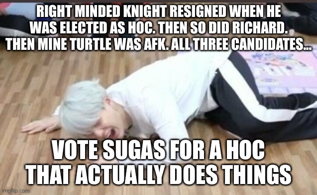 suga on the floor | RIGHT MINDED KNIGHT RESIGNED WHEN HE WAS ELECTED AS HOC. THEN SO DID RICHARD. THEN MINE TURTLE WAS AFK. ALL THREE CANDIDATES…; VOTE SUGAS FOR A HOC THAT ACTUALLY DOES THINGS | image tagged in suga on the floor | made w/ Imgflip meme maker