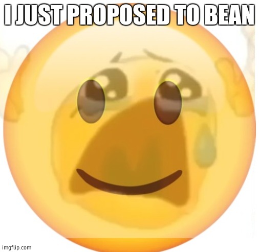 happy emoji on the outside, but crying on the inside | I JUST PROPOSED TO BEAN | image tagged in happy emoji on the outside but crying on the inside | made w/ Imgflip meme maker