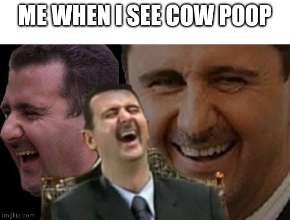 weird humour | ME WHEN I SEE COW POOP | image tagged in assad laugh | made w/ Imgflip meme maker