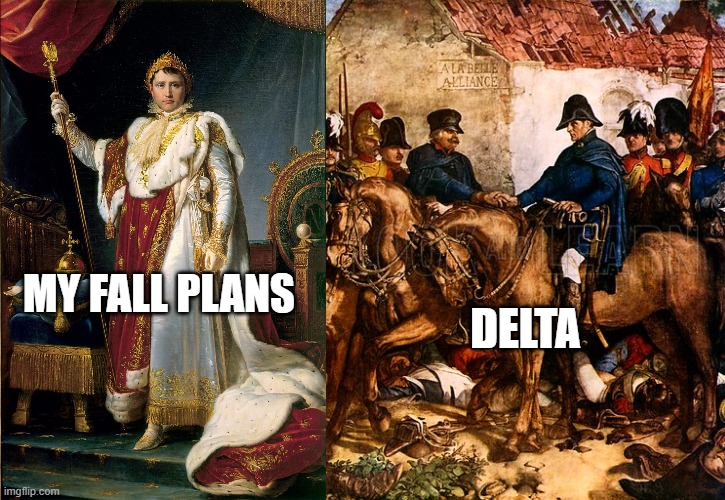 Waterloo | DELTA; MY FALL PLANS | image tagged in covid 19 | made w/ Imgflip meme maker