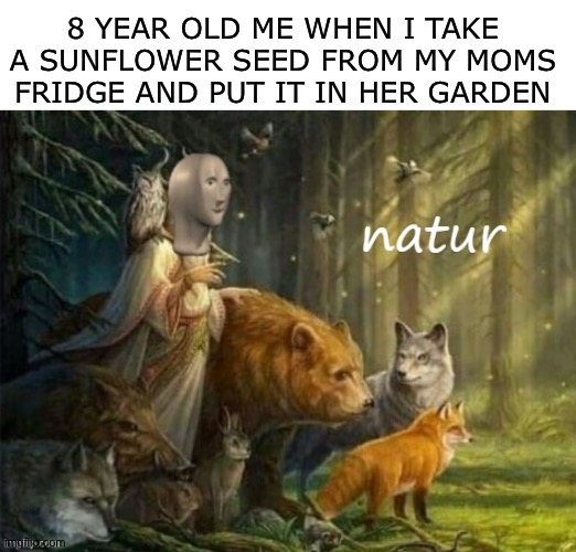 Meme man natur | 8 YEAR OLD ME WHEN I TAKE A SUNFLOWER SEED FROM MY MOMS FRIDGE AND PUT IT IN HER GARDEN | image tagged in meme man natur,garden,me,yippie,these tags why would you read,meme man | made w/ Imgflip meme maker