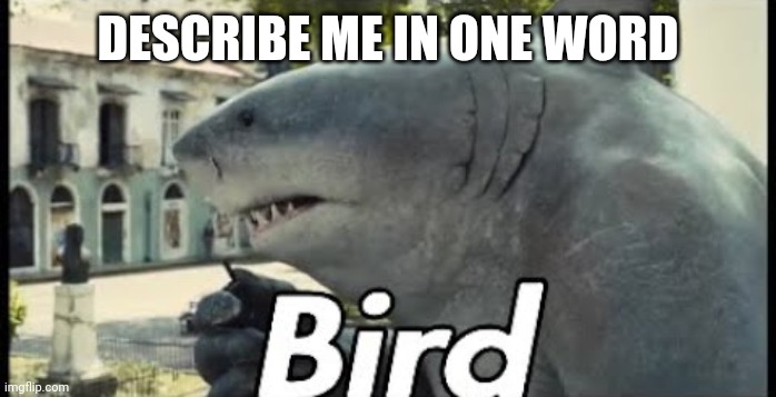 King shark bird | DESCRIBE ME IN ONE WORD | image tagged in king shark bird | made w/ Imgflip meme maker