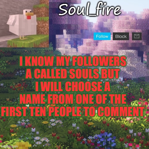 GIVE ME NAMES | I KNOW MY FOLLOWERS A CALLED SOULS BUT
I WILL CHOOSE A NAME FROM ONE OF THE FIRST TEN PEOPLE TO COMMENT | image tagged in soul_fires minecraft temp ty yachi | made w/ Imgflip meme maker