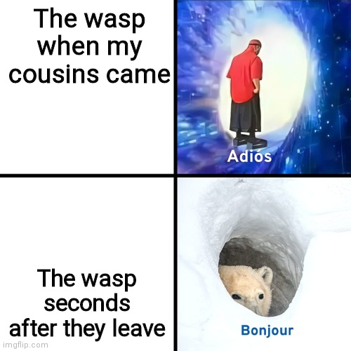 Adios Bonjour | The wasp when my cousins came; The wasp seconds after they leave | image tagged in adios bonjour | made w/ Imgflip meme maker
