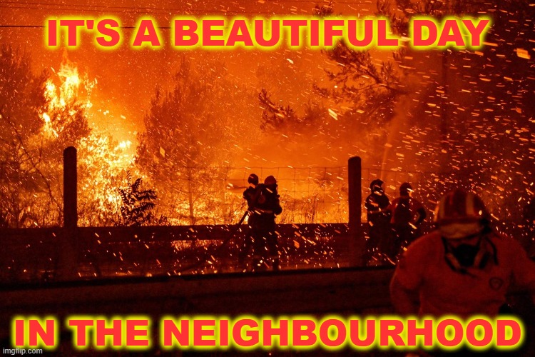 IT'S A BEAUTIFUL DAY; IN THE NEIGHBOURHOOD | image tagged in memes | made w/ Imgflip meme maker