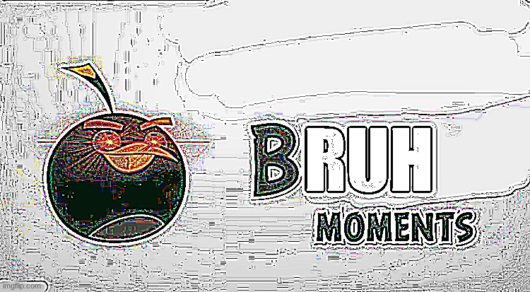 Bruh Moments | image tagged in bruh moments | made w/ Imgflip meme maker