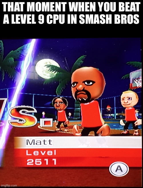 Matt | THAT MOMENT WHEN YOU BEAT A LEVEL 9 CPU IN SMASH BROS | image tagged in matt mii | made w/ Imgflip meme maker