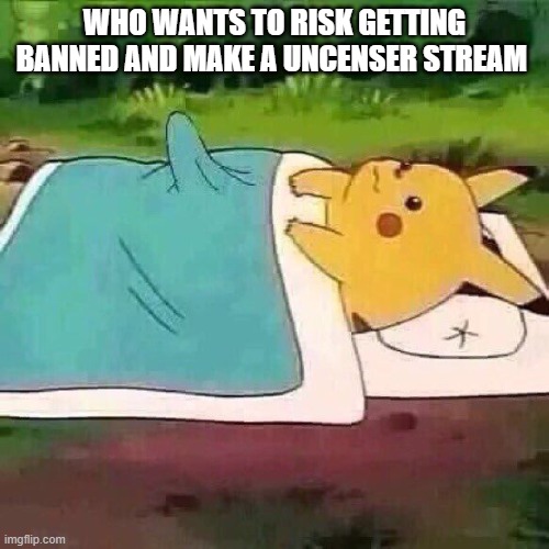 Pikachu boner | WHO WANTS TO RISK GETTING BANNED AND MAKE A UNCENSER STREAM | image tagged in pikachu boner | made w/ Imgflip meme maker