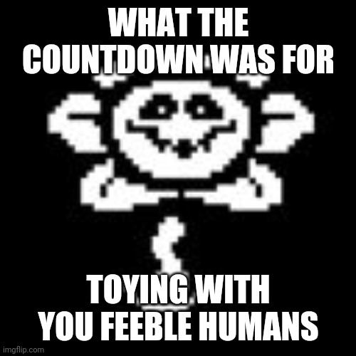 Flowey | WHAT THE COUNTDOWN WAS FOR TOYING WITH YOU FEEBLE HUMANS | image tagged in flowey | made w/ Imgflip meme maker