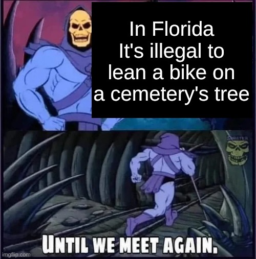 Until we meet again. | In Florida It's illegal to lean a bike on a cemetery's tree | image tagged in until we meet again | made w/ Imgflip meme maker