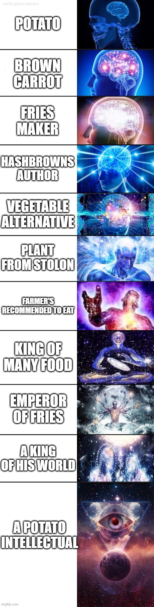 Potato Expanding Brain |  POTATO; BROWN CARROT; FRIES MAKER; HASHBROWNS AUTHOR; VEGETABLE ALTERNATIVE; PLANT FROM STOLON; FARMER'S RECOMMENDED TO EAT; KING OF MANY FOOD; EMPEROR OF FRIES; A KING OF HIS WORLD; A POTATO INTELLECTUAL | image tagged in extended expanding brain | made w/ Imgflip meme maker