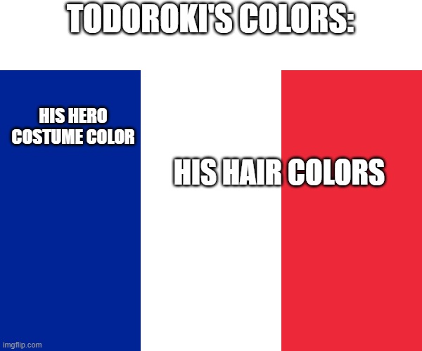 Todoroki = France | TODOROKI'S COLORS:; HIS HERO COSTUME COLOR; HIS HAIR COLORS | made w/ Imgflip meme maker