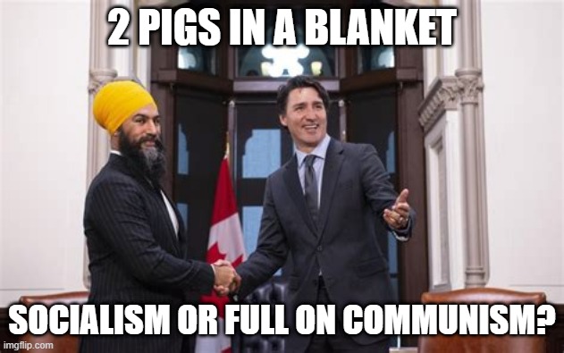 2 Pigs in a blanket | 2 PIGS IN A BLANKET; SOCIALISM OR FULL ON COMMUNISM? | image tagged in communism socialism | made w/ Imgflip meme maker