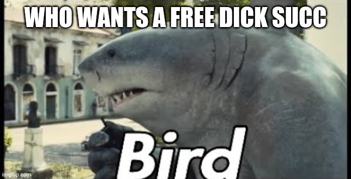 King shark bird | WHO WANTS A FREE DICK SUCC | image tagged in king shark bird | made w/ Imgflip meme maker