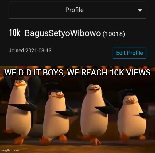 we reach 10k views | WE DID IT BOYS, WE REACH 10K VIEWS | image tagged in penguins of madagascar,10k,views,imgflip points,points,racists | made w/ Imgflip meme maker
