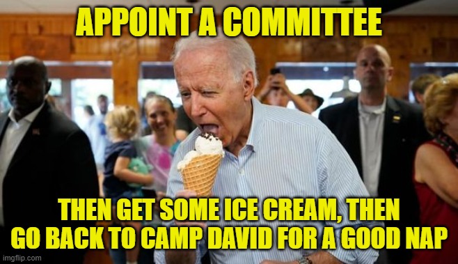 Biden Ice Cream | APPOINT A COMMITTEE THEN GET SOME ICE CREAM, THEN GO BACK TO CAMP DAVID FOR A GOOD NAP | image tagged in biden ice cream | made w/ Imgflip meme maker