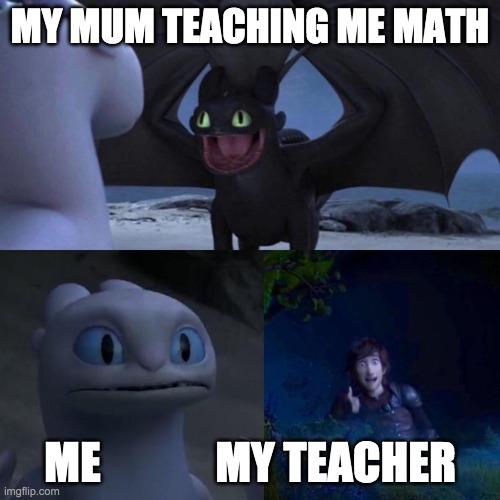 Toothless presents himself | MY MUM TEACHING ME MATH; ME             MY TEACHER | image tagged in toothless presents himself | made w/ Imgflip meme maker