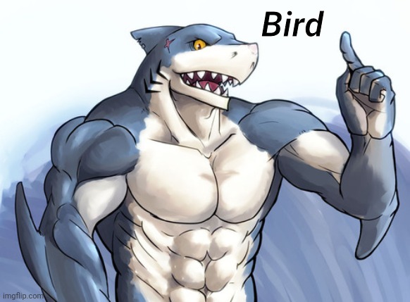 How to idea? | Bird | image tagged in how to idea | made w/ Imgflip meme maker
