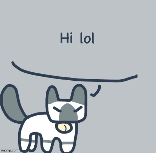 Cat | Hi lol | image tagged in cat | made w/ Imgflip meme maker