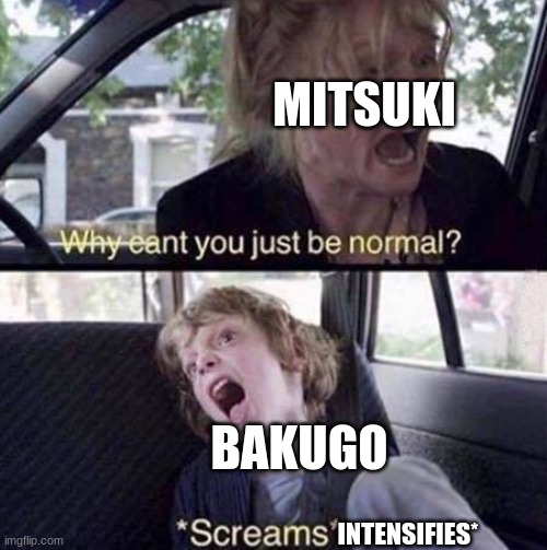 Why Can't You Just Be Normal | MITSUKI; BAKUGO; INTENSIFIES* | image tagged in why can't you just be normal,bakugo | made w/ Imgflip meme maker