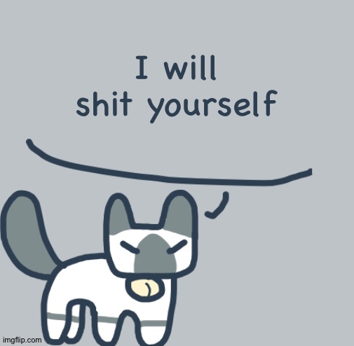 Cat | I will shit yourself | image tagged in cat | made w/ Imgflip meme maker