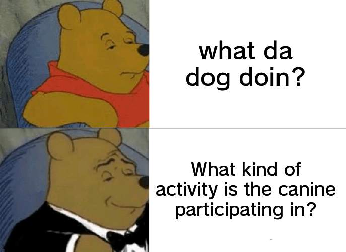 reject drama, return to memes | what da dog doin? What kind of activity is the canine participating in? | image tagged in memes,tuxedo winnie the pooh | made w/ Imgflip meme maker